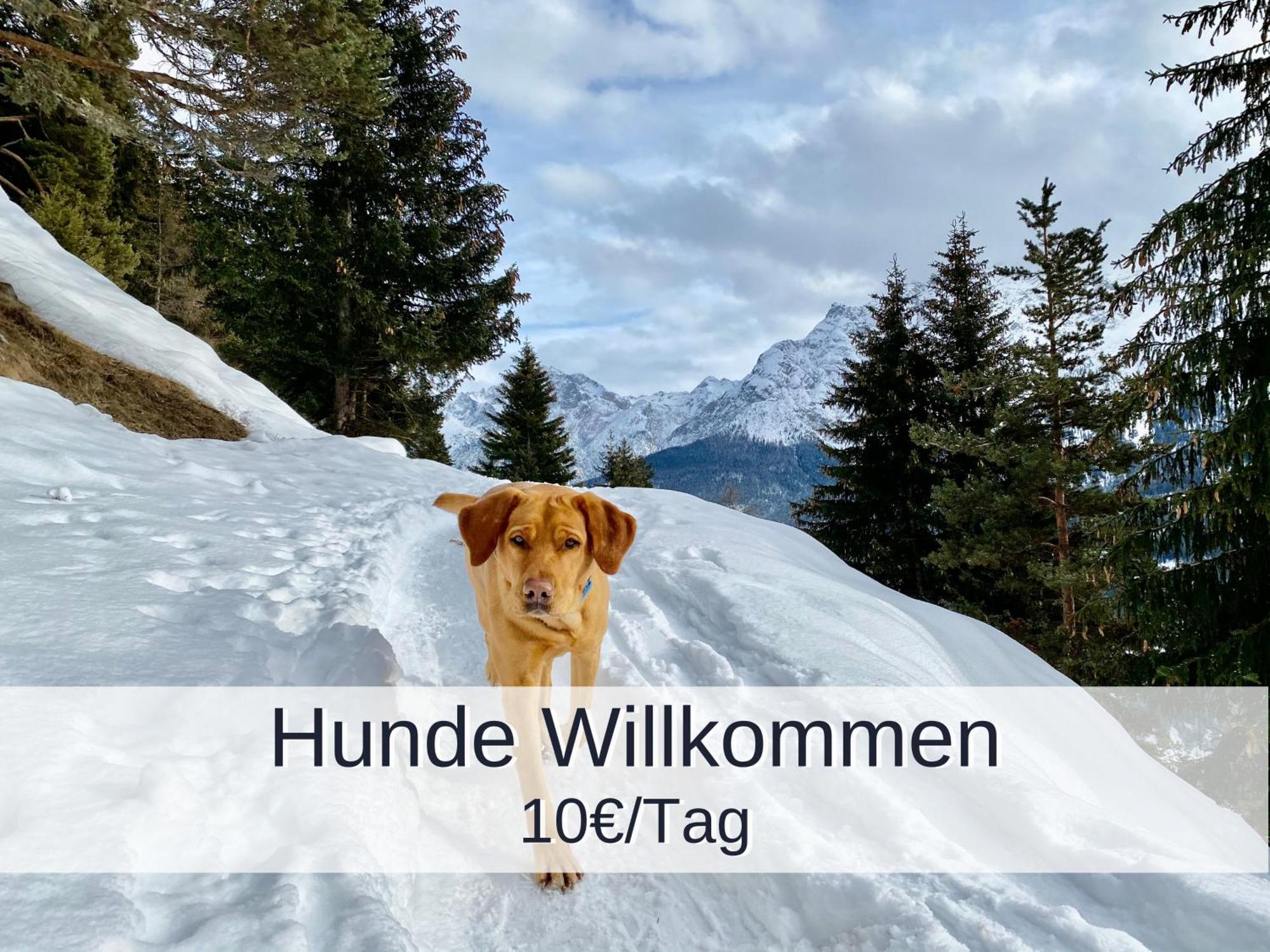Apartment Rambold Sonnenterrasse Garmisch-Partenkirchen